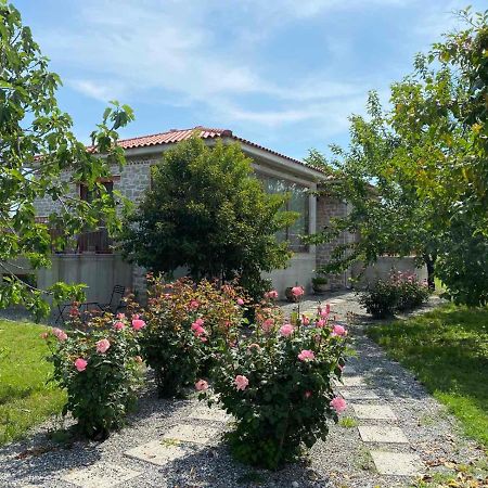 Kampus Luxury Villas Trikala  Ngoại thất bức ảnh