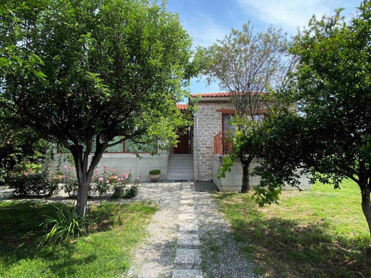 Kampus Luxury Villas Trikala  Ngoại thất bức ảnh